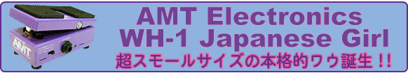 AMT Electronics WH-1 Japanese Girl